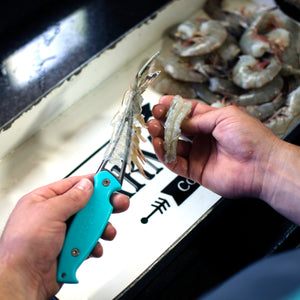 Toadfish shrimp cleaner "Frogmore"