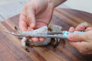 Toadfish shrimp cleaner "Frogmore"